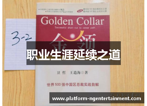 职业生涯延续之道