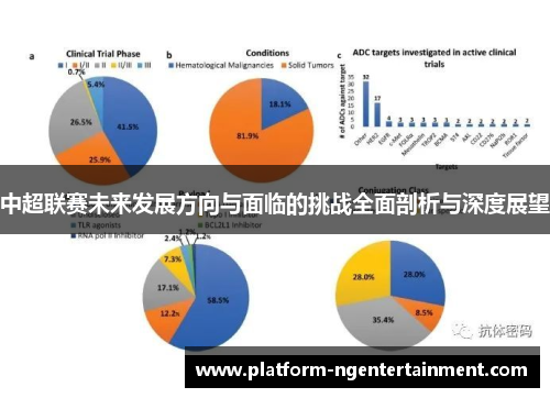 中超联赛未来发展方向与面临的挑战全面剖析与深度展望