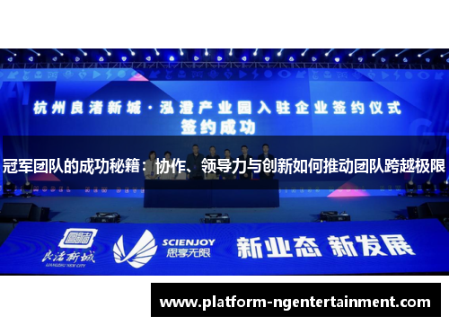 冠军团队的成功秘籍：协作、领导力与创新如何推动团队跨越极限