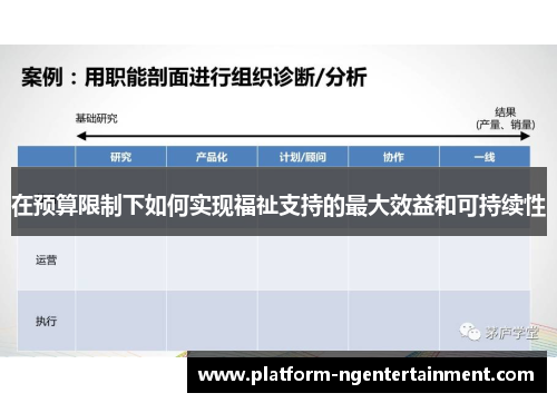 在预算限制下如何实现福祉支持的最大效益和可持续性