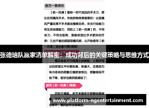 张德培队赢家清单解密：成功背后的关键策略与思维方式