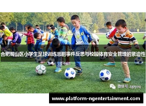 合肥蜀山区小学生足球训练悲剧事件反思与校园体育安全管理的紧迫性
