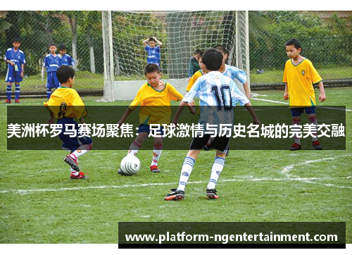 美洲杯罗马赛场聚焦：足球激情与历史名城的完美交融