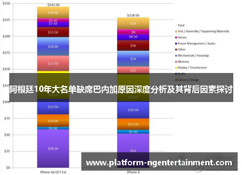 阿根廷10年大名单缺席巴内加原因深度分析及其背后因素探讨