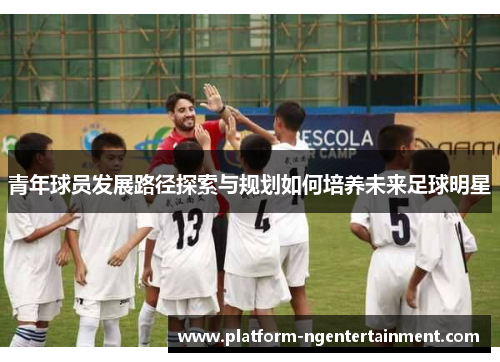青年球员发展路径探索与规划如何培养未来足球明星